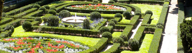 vatican-gardens